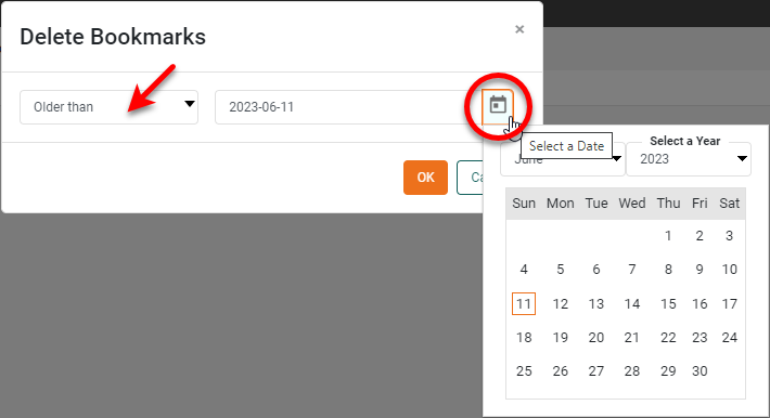 select Older than or Not accessed since